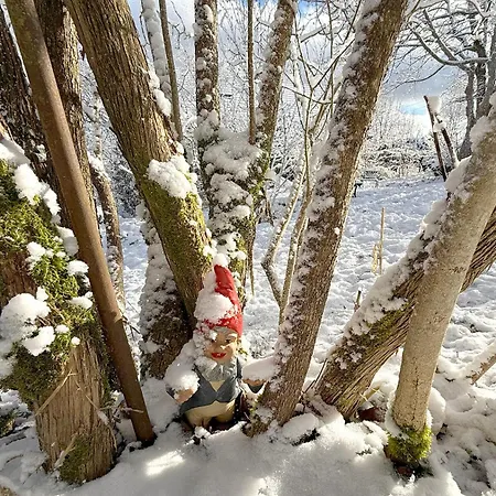 シャレー Les Airelles